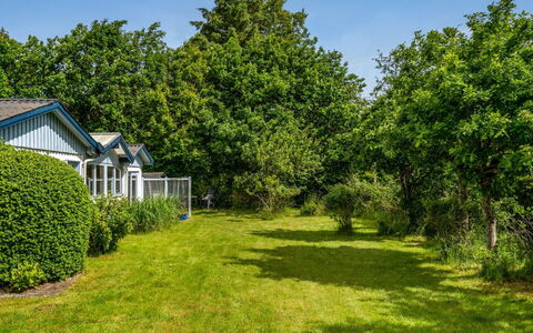 Lenard - 400M from the Sea: Boom, Vegetation, Struik, Tuin, Verblijf, Land Lot, Huis, Gazon, Groundcover, Schaduw