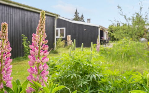Landolf - 250M from the Sea: Dak, Huis, Huis, Verblijf, Siding, Landgoed, Oprit, Garden Gebouwen, Werf, Schuur