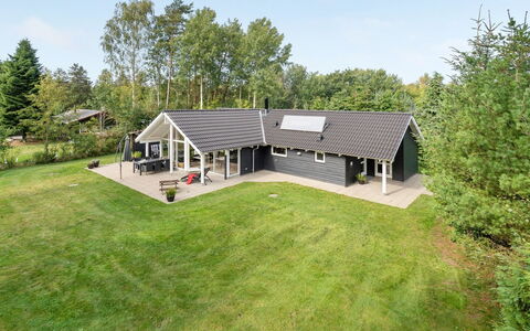 Agved - 1.5Km from the Sea: Plantengemeenschap, Zonlicht, Kruidachtige Plant, Tuin, Plantage, Landbouw, Boerderij