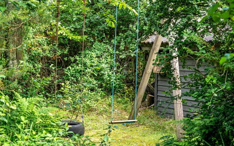 Jaakob - 4Km from the Sea: Groen, Blad, Hout, Vegetation, Struik, Plantengemeenschap, Tuin, Groundcover, Natuurgebied, Jungle