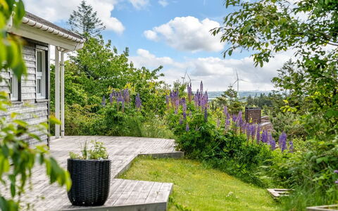 Jaakob - 4Km from the Sea: Groen, Bloem, Struik, Tuin, Groundcover, De Lente, Verblijf, Landscaping, Werf, Backyard