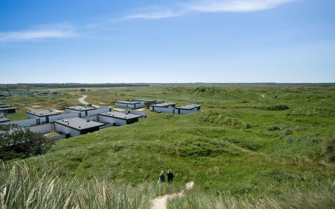 Ingomar - 300M from the Sea: Gras, Grasland, Ecoregio, Plain, Land Lot, Landschap, Plantengemeenschap, Prairie, Steppe, Pasture