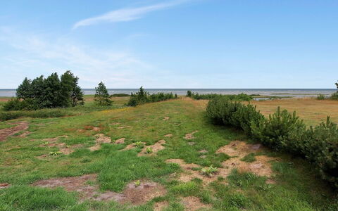 Hane - 150M from the Sea: Gras, Vegetation, Grasland, Ecoregio, Plain, Plantengemeenschap, Land Lot, Shrubland, Pasture