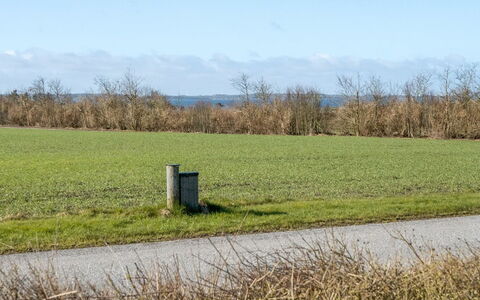 Anselma - 800M to the Fjord: Blauw, Struik, Verblijf, Groundcover, Tuin, Landgoed, Schaduw, Landscaping, Boerderij, Eco Hotel