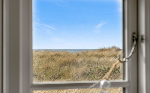 Stintje - 20M from the Sea: Gebouw, Huis, Venster, Huis, Dak, Woongebied, Struik, Verblijf, Land Lot