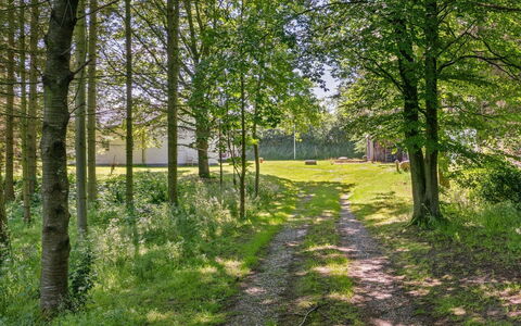 Marsa - 1.5Km from the Sea: Blad, Groen, Boom, Gras, Afdeling, Natuurlijke Omgeving, Natuur, Hout, Natuurlijk Landschap, Vegetation