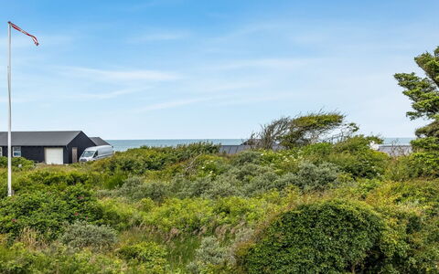 Sorja - 420M from the Sea: Lucht, Blauw, Vegetation, Struik, Plantengemeenschap, Land Lot, Groundcover, Shrubland, Dicht Struikgewas