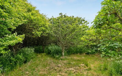 Sorja - 420M from the Sea