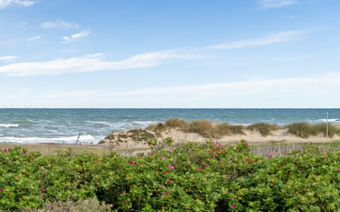 Miroslava - 140M from the Sea: Huis, Huis, Deur, Dak, Verblijf, Landgoed, Tuin, Schaduw, Siding, Werf