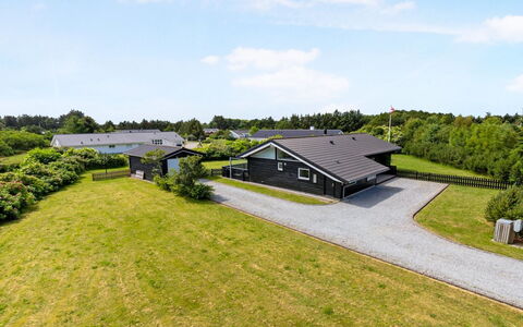 Tatyana - 1.0Km from the Sea: Plantengemeenschap, Zonlicht, Kruidachtige Plant, Tuin, Plantage, Landbouw, Boerderij