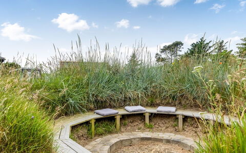 Albert - 340M from the Sea: Struik, Plantengemeenschap, Land Lot, Groundcover, Tuin, Shrubland, Weide, Prairie, Kruidachtige Plant