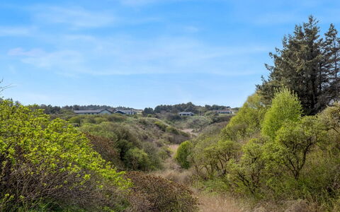 Wante - 900M from the Sea: Huis, Huis, Deur, Dak, Verblijf, Landgoed, Tuin, Schaduw, Siding, Werf