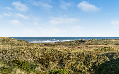 Fransisca - 600M from the Sea: Blauw, Struik, Verblijf, Groundcover, Tuin, Landgoed, Schaduw, Landscaping, Boerderij, Eco Hotel