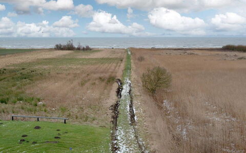 Gonda - 500M from the Sea: Dak, Huis, Huis, Verblijf, Siding, Landgoed, Oprit, Garden Gebouwen, Werf, Schuur