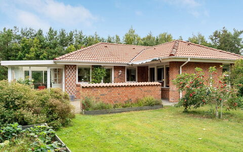 Maksimilian - 1.5Km from the Sea: Gras, Gebouw, Huis, Woongebied, Dak, Huis, Struik, Verblijf, Tuin
