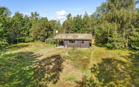 Beatrix - 700M from the Sea: Hout, Huis, Veranda, Dek, Hardwood, Dak, Beits, Houten Vloer, Eco Hotel
