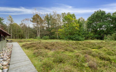 Esteri - 800M from the Sea: Dak, Huis, Huis, Verblijf, Siding, Landgoed, Oprit, Garden Gebouwen, Werf, Schuur
