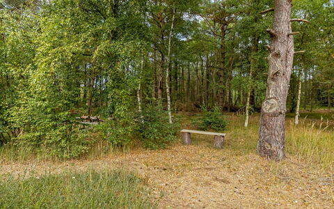 Helmtrud - 500M from the Sea: Blad, Boom, Natuurlijke Omgeving, Gras, Hout, Vegetation, Natuurlijk Landschap, Woud, Plantengemeenschap, Trunk