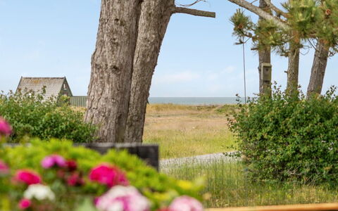 Eivi - 150M from the Sea: Verblijf, Schuur, Hut, Boerderij, Prairie, Keet, Schuur, Blokhut, Garden Gebouwen