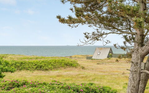 Eivi - 150M from the Sea: Verblijf, Schuur, Hut, Boerderij, Prairie, Keet, Schuur, Blokhut, Garden Gebouwen