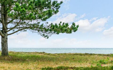 Djuna - 200M from the Sea: Lucht, Blauw, Dag, Groen, Vegetation, Zomer, Horizon, Ecoregio, Wolk, Zee