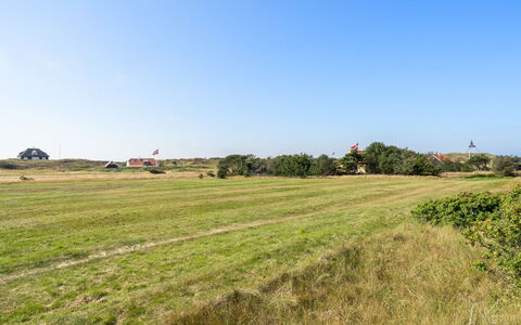 Jantje - 500M from the Sea: Lucht, Blauw, Groen, Gras, Natuurlijke Omgeving, Grasland, Plain, Veld, Ecoregio, Zomer