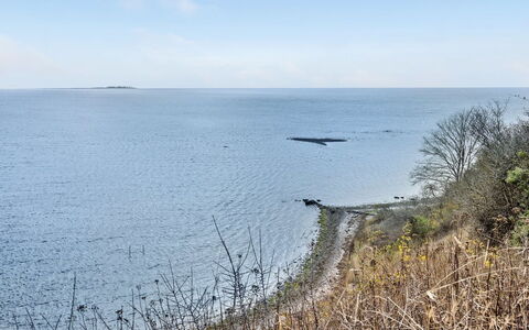 Bosilka - 75M from the Sea: Plantengemeenschap, Zonlicht, Kruidachtige Plant, Tuin, Plantage, Landbouw, Boerderij
