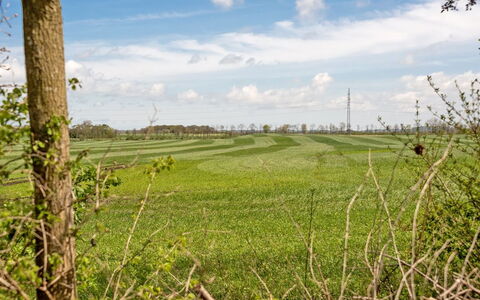 Henna - 550M to the Fjord: Dak, Huis, Land Lot, Huis, Verblijf, Landgoed, Garden Gebouwen, Schaduw, Blokhut, Landscaping