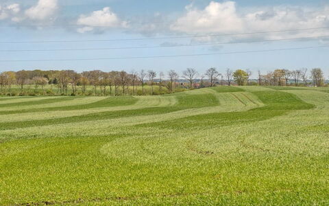 Henna - 550M to the Fjord: Dak, Huis, Land Lot, Huis, Verblijf, Landgoed, Garden Gebouwen, Schaduw, Blokhut, Landscaping