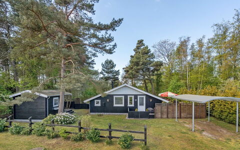 Eweline - 75M from the Sea: Dak, Huis, Deur, Verblijf, Schaduw, Siding, Werf, Landgoed, Backyard