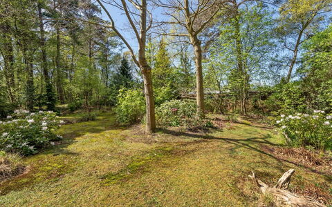 Eweline - 75M from the Sea: Dak, Huis, Deur, Verblijf, Schaduw, Siding, Werf, Landgoed, Backyard