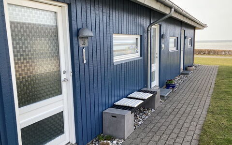 Elevus - 10M from the Sea: Plantengemeenschap, Zonlicht, Kruidachtige Plant, Tuin, Plantage, Landbouw, Boerderij
