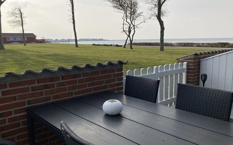 Elevus - 10M from the Sea: Plantengemeenschap, Zonlicht, Kruidachtige Plant, Tuin, Plantage, Landbouw, Boerderij