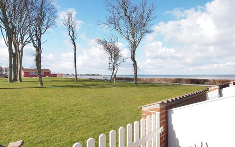 Elevus - 10M from the Sea: Hek, Gazon, Home Schermen, Piketomheining