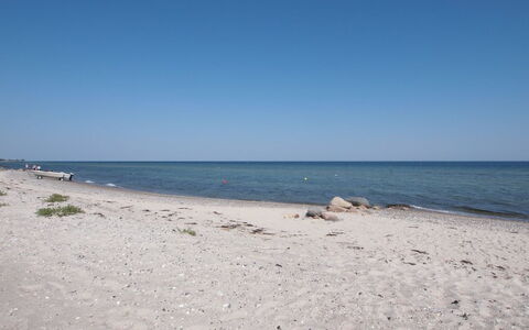Alvina - 25M from the Sea: Blauw, Struik, Verblijf, Groundcover, Tuin, Landgoed, Schaduw, Landscaping, Boerderij, Eco Hotel