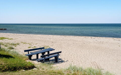 Diertje - 10M from the Sea: Blauw, Struik, Verblijf, Groundcover, Tuin, Landgoed, Schaduw, Landscaping, Boerderij, Eco Hotel