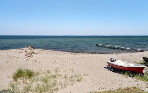 Diertje - 10M from the Sea: Blauw, Struik, Verblijf, Groundcover, Tuin, Landgoed, Schaduw, Landscaping, Boerderij, Eco Hotel