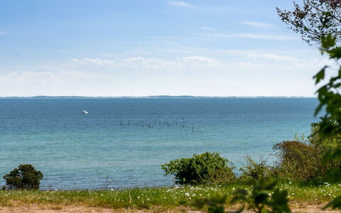 Arho - 75M from the Sea: Dak, Huis, Land Lot, Huis, Verblijf, Landgoed, Garden Gebouwen, Schaduw, Blokhut, Landscaping