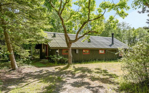 Osa - 150M from the Sea: Boom, Blad, Hout, Huis, Verblijf, Struik, Dak, Huis, Landelijk Gebied