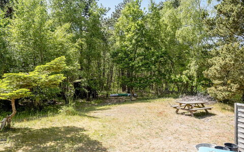 Osa - 150M from the Sea: Struik, Plantengemeenschap, De Lente, Bos, Schaduw, Tuin, Park, Buitenmeubels, Buitentafel, Picknicktafel