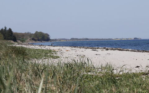 Bridgette - 100M from the Sea: Water, Strand, Kust, Kust En Oceanic Landvormen, Kust, Zee, Horizon, Zand, Oceaan