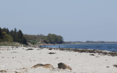 Bridgette - 100M from the Sea: Lucht, Blauw, Strand, Natuurlijke Omgeving, Kust, Kust, Horizon, Kust En Oceanic Landvormen, Zee