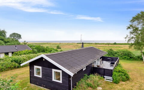 Bridgette - 100M from the Sea: Plantengemeenschap, Zonlicht, Kruidachtige Plant, Tuin, Plantage, Landbouw, Boerderij