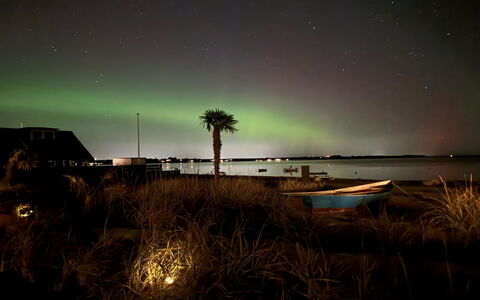 Eino - 30M from the Sea: Hout, Dak, Huis, Huis, Architectuur, Siding, Land Lot, Verblijf, Schuur, Garden Gebouwen