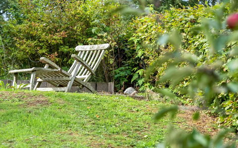 Bjerund - 250M from the Sea: Blauw, Struik, Verblijf, Groundcover, Tuin, Landgoed, Schaduw, Landscaping, Boerderij, Eco Hotel
