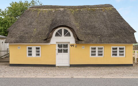 Miko - 19Km from the Sea: Gras, Grasland, Landschap, Ecoregio, Plain, Plantengemeenschap, Land Lot, Buitenmeubels, Prairie, Shrubland