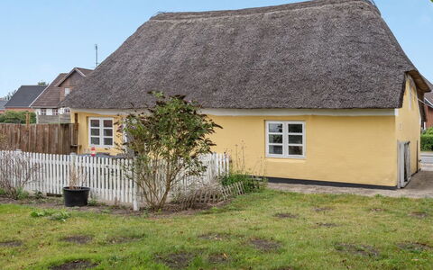 Miko - 19Km from the Sea: Gras, Grasland, Landschap, Ecoregio, Plain, Plantengemeenschap, Land Lot, Buitenmeubels, Prairie, Shrubland