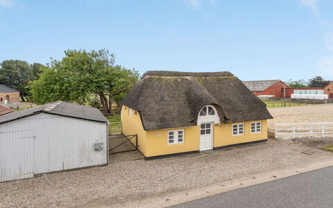 Miko - 19Km from the Sea: Gras, Grasland, Landschap, Ecoregio, Plain, Plantengemeenschap, Land Lot, Buitenmeubels, Prairie, Shrubland