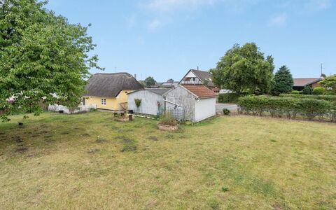 Miko - 19Km from the Sea: Gras, Grasland, Landschap, Ecoregio, Plain, Plantengemeenschap, Land Lot, Buitenmeubels, Prairie, Shrubland