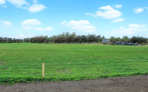 Dolfine - 15Km from the Sea: Dak, Huis, Land Lot, Huis, Verblijf, Landgoed, Garden Gebouwen, Schaduw, Blokhut, Landscaping